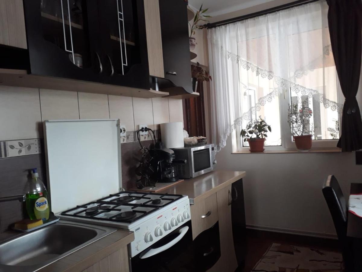 Casa Harsan Holiday home Sovata