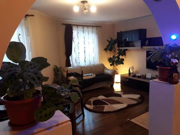 Casa Harsan *