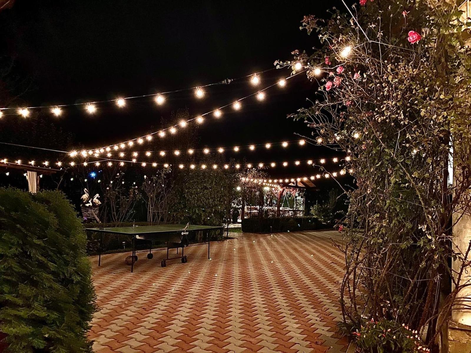 Holiday home Casa Harsan